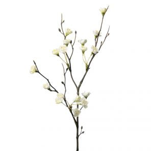 Apple Blossom White - Susan Clark Interiors