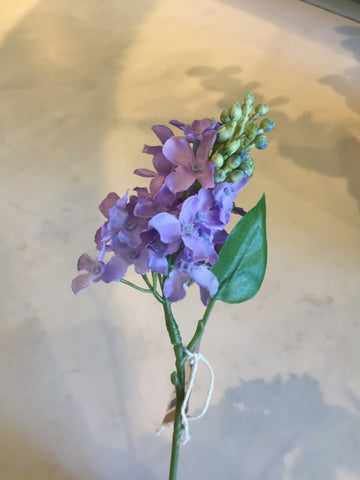 Lilac 25cm